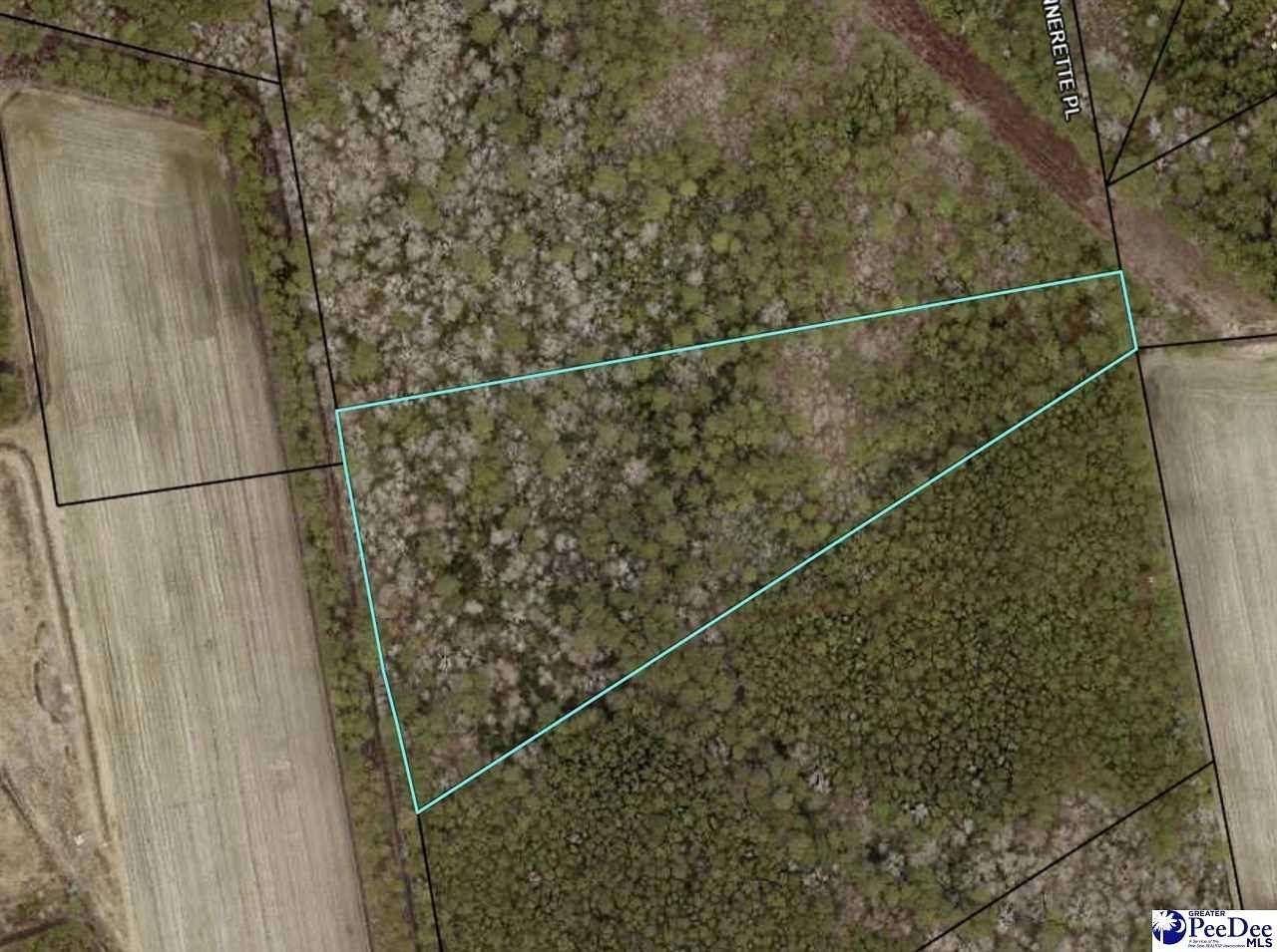 7.9 Acres of Land for Sale in Hemingway, South Carolina