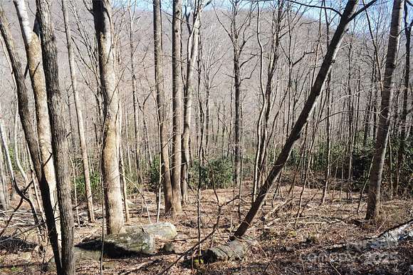 1.62 Acres of Residential Land for Sale in Black Mountain, North Carolina