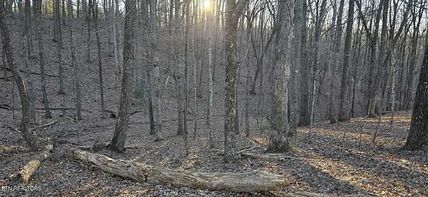 0.48 Acres of Land for Sale in Fairfield Glade, Tennessee