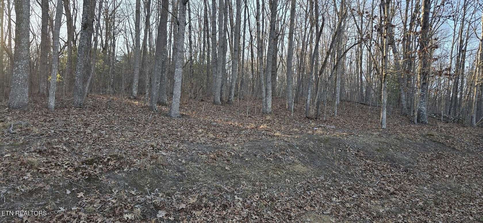 0.46 Acres of Land for Sale in Fairfield Glade, Tennessee