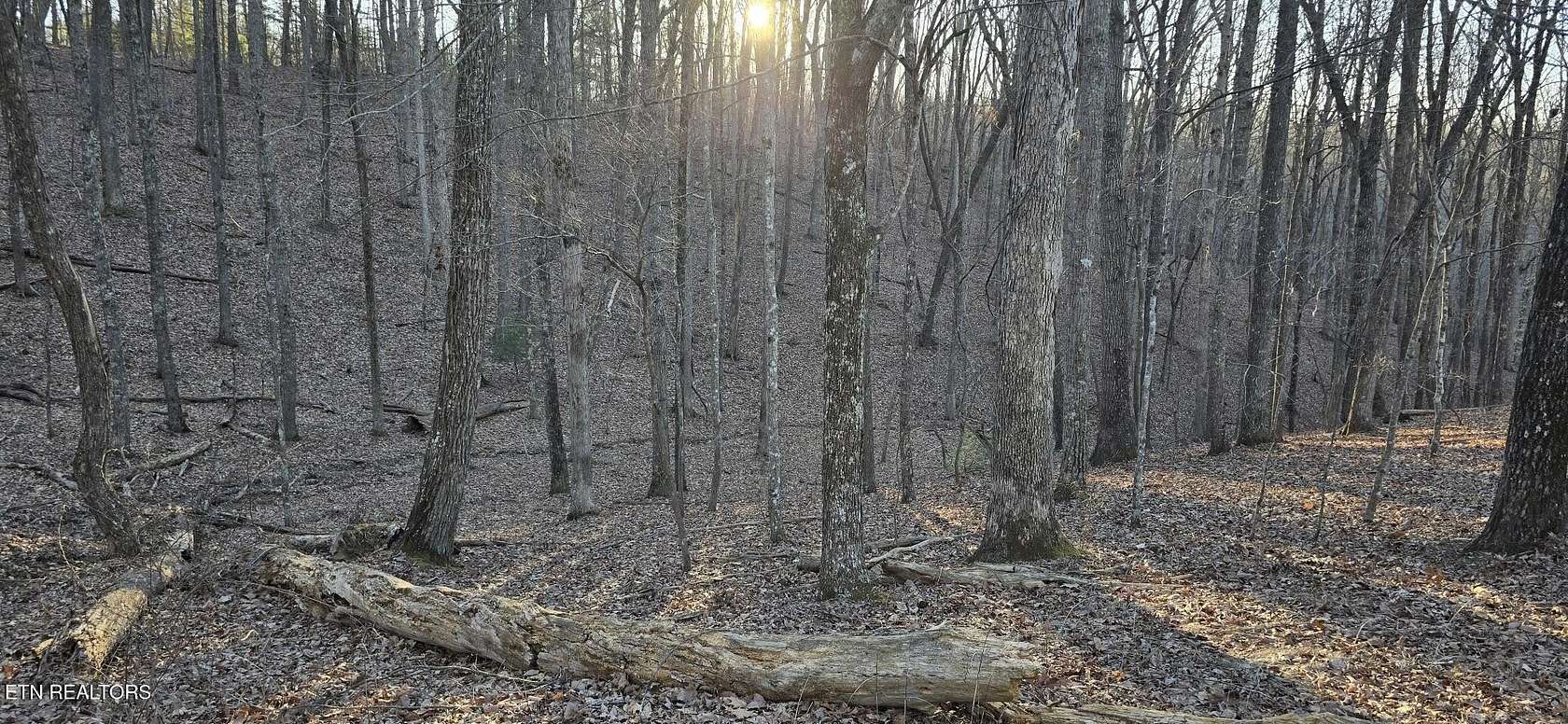 0.46 Acres of Residential Land for Sale in Fairfield Glade, Tennessee