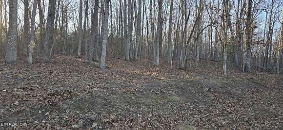 0.46 Acres of Residential Land for Sale in Fairfield Glade, Tennessee