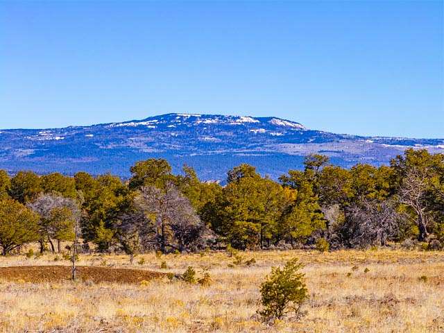 640 Acres of Recreational Land for Sale in Tierra Amarilla, New Mexico