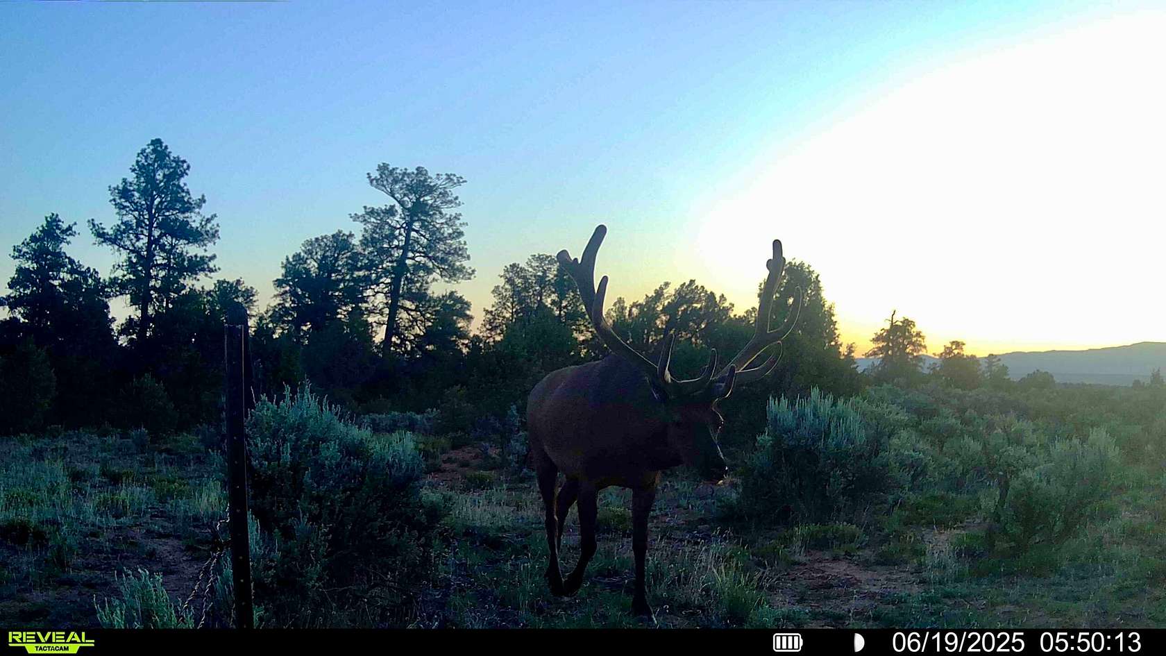 640 Acres of Recreational Land for Sale in Tierra Amarilla, New Mexico