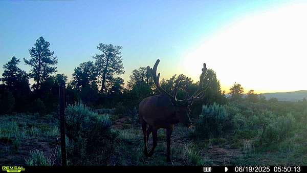640 Acres of Recreational Land for Sale in Tierra Amarilla, New Mexico