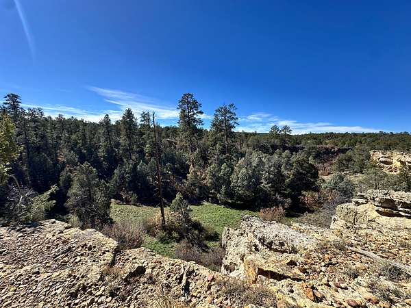 640 Acres of Recreational Land for Sale in Tierra Amarilla, New Mexico