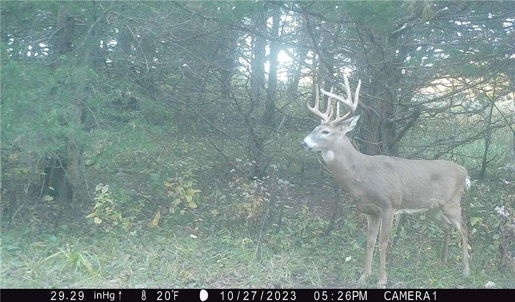 54 Acres of Recreational Land & Farm for Sale in Oregon, Missouri