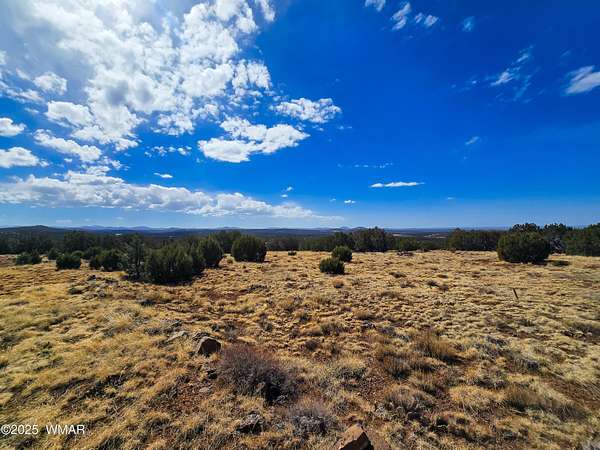 1.5 Acres of Land for Sale in Concho, Arizona