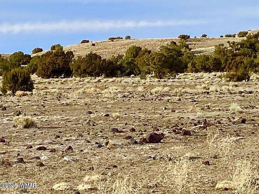 1.22 Acres of Residential Land for Sale in Concho, Arizona