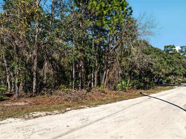 0.34 Acres of Residential Land for Sale in Weeki Wachee, Florida