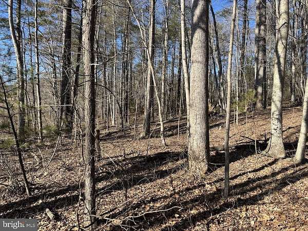 5.1 Acres of Residential Land for Sale in Madison, Virginia