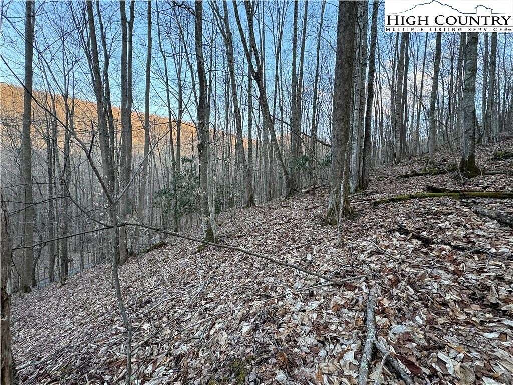 1 Acre of Residential Land for Sale in Beech Mountain, North Carolina