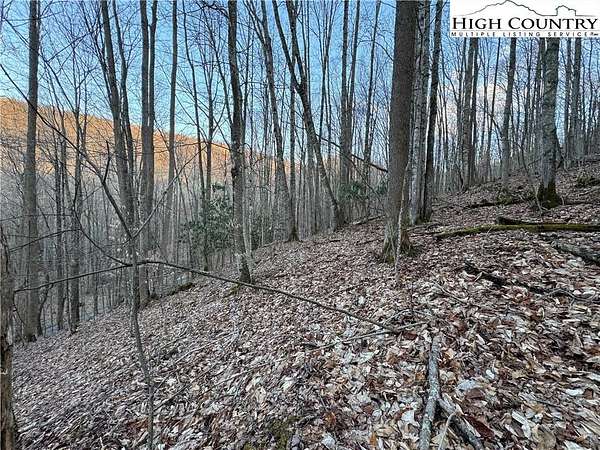 1 Acre of Residential Land for Sale in Beech Mountain, North Carolina