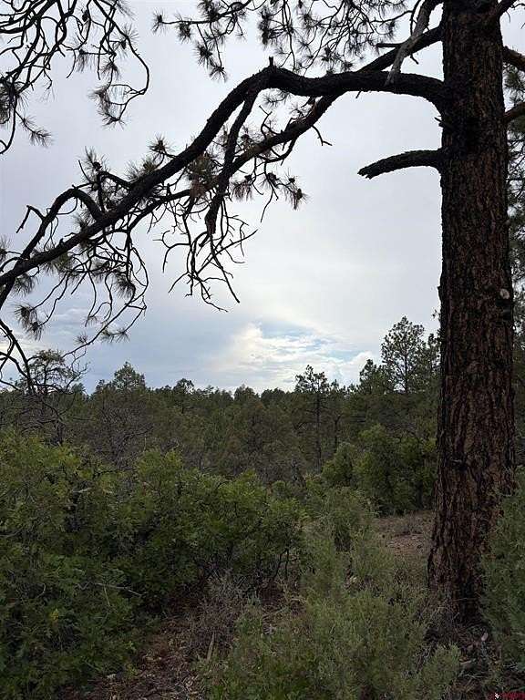 1.15 Acres of Residential Land for Sale in Pagosa Springs, Colorado