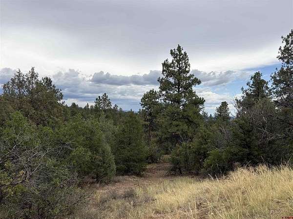 1.15 Acres of Land for Sale in Pagosa Springs, Colorado