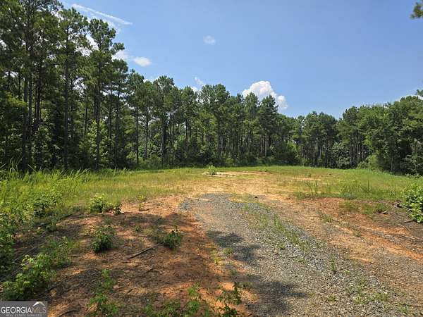 49.8 Acres of Recreational Land for Sale in Monticello, Georgia