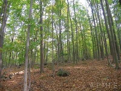 78 Acres of Land for Lease in Putnam Valley, New York