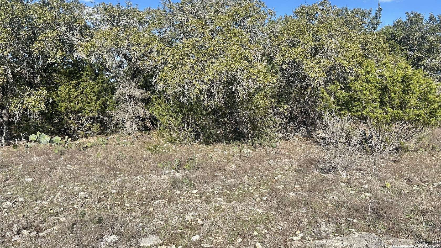 0.19 Acres of Residential Land for Sale in Blanco, Texas