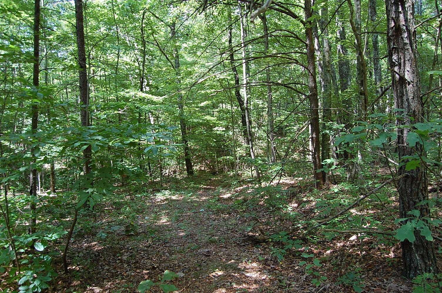 1.4 Acres of Residential Land for Sale in Dunlap, Tennessee