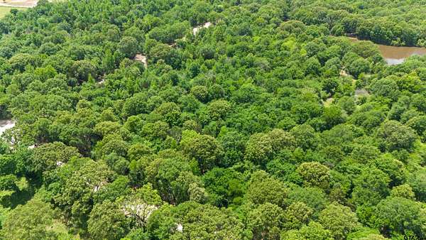 10 Acres of Land for Sale in Van, Texas