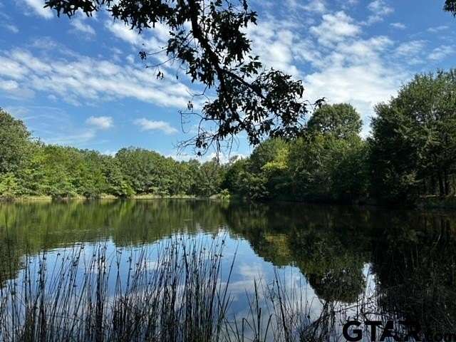 14.6 Acres of Land for Sale in Van, Texas