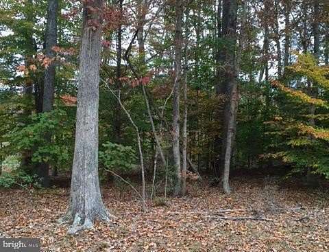 0.45 Acres of Residential Land for Sale in Ruther Glen, Virginia