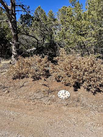 1 Acre of Land for Sale in Edgewood, New Mexico