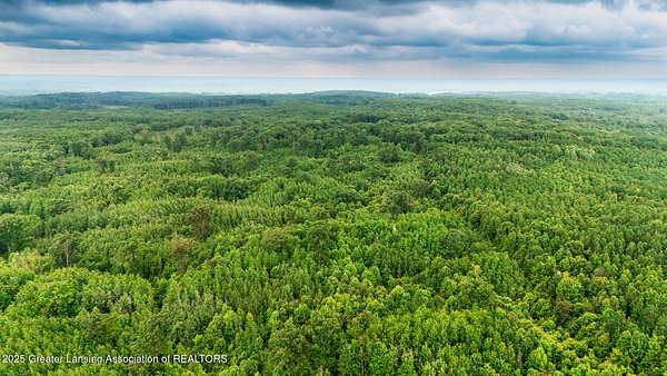 80 Acres of Recreational Land for Sale in Evart, Michigan