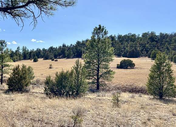 5.14 Acres of Land for Sale in Ramah, New Mexico