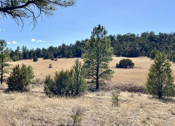 5.14 Acres of Recreational Land & Farm for Sale in Ramah, New Mexico