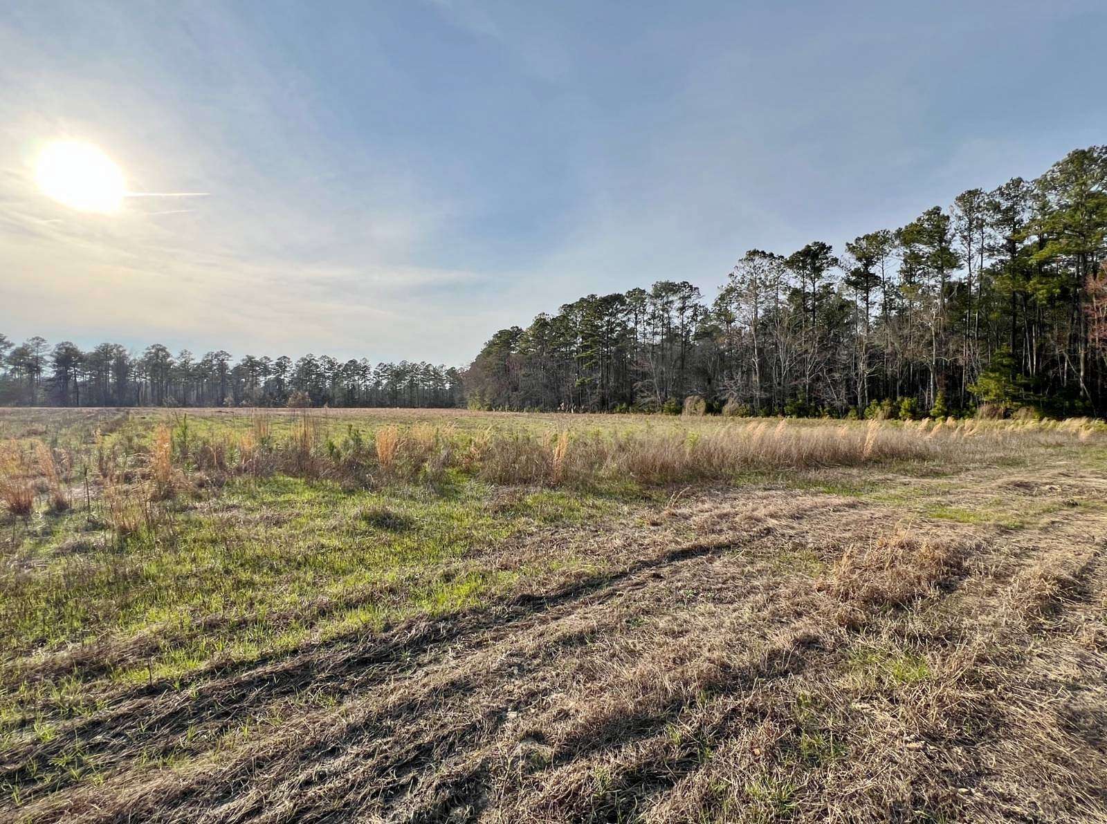 9.75 Acres of Land for Sale in Varnville, South Carolina