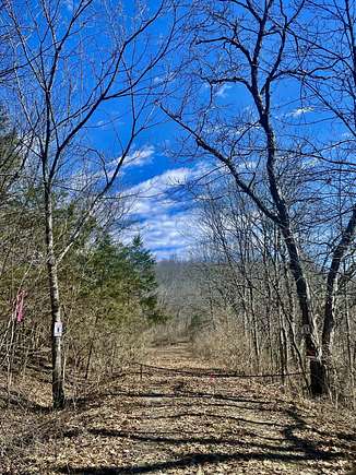 45 Acres of Recreational Land for Sale in Flemingsburg, Kentucky