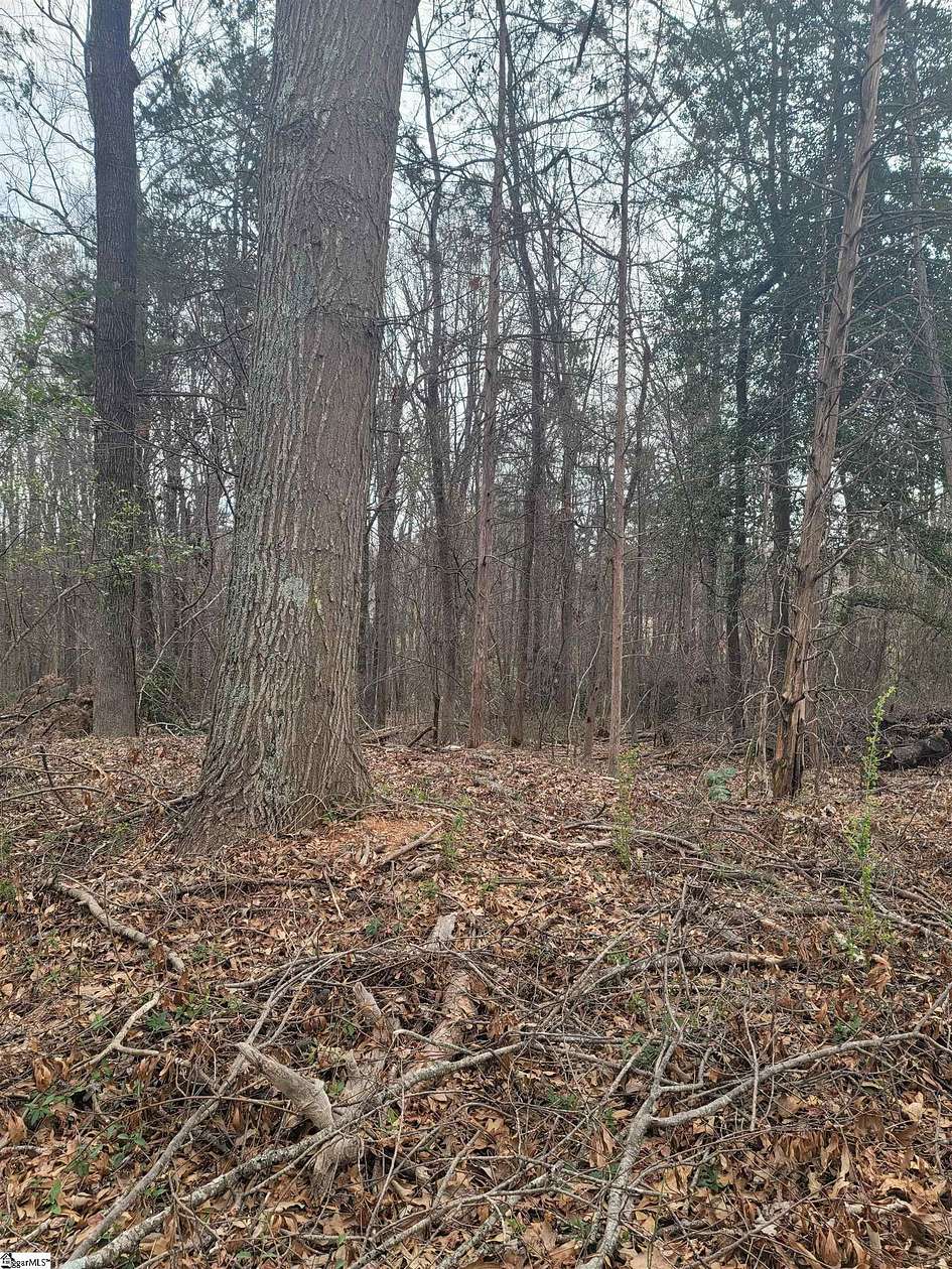 1 Acre of Residential Land for Sale in Greenville, South Carolina