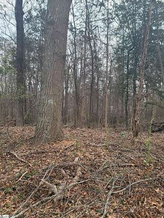 1 Acre of Residential Land for Sale in Greenville, South Carolina