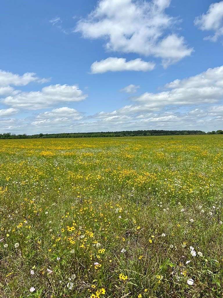 80 Acres of Land for Sale in Angleton, Texas