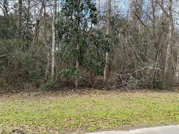 0.24 Acres of Residential Land for Sale in Diamondhead, Mississippi