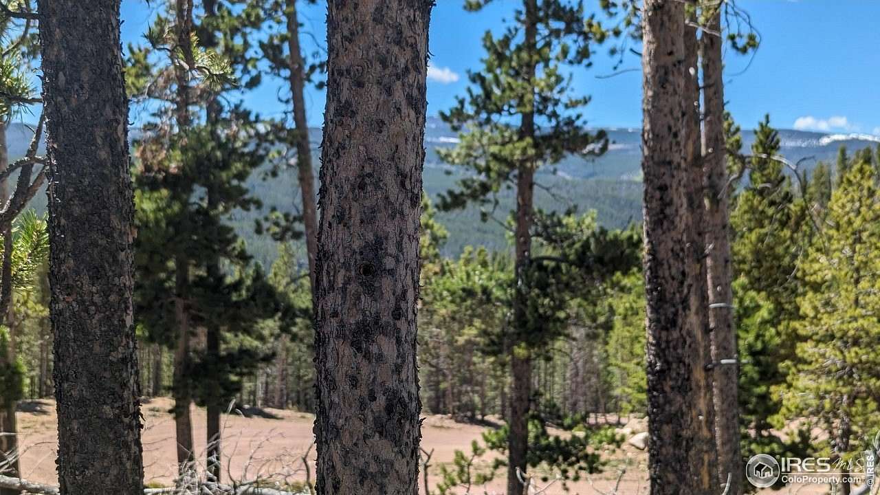 1.4 Acres of Residential Land for Sale in Red Feather Lakes, Colorado
