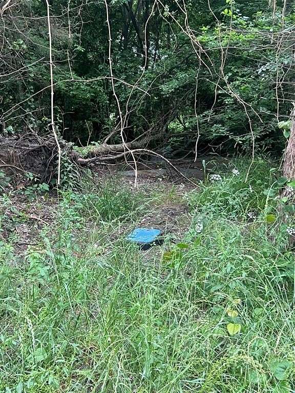 1 Acre of Residential Land for Sale in Paris, Texas