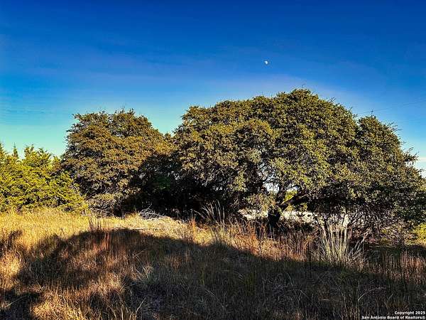 0.51 Acres of Residential Land for Sale in Spring Branch, Texas