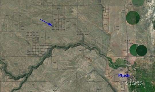 5 Acres of Land for Sale in Plush, Oregon