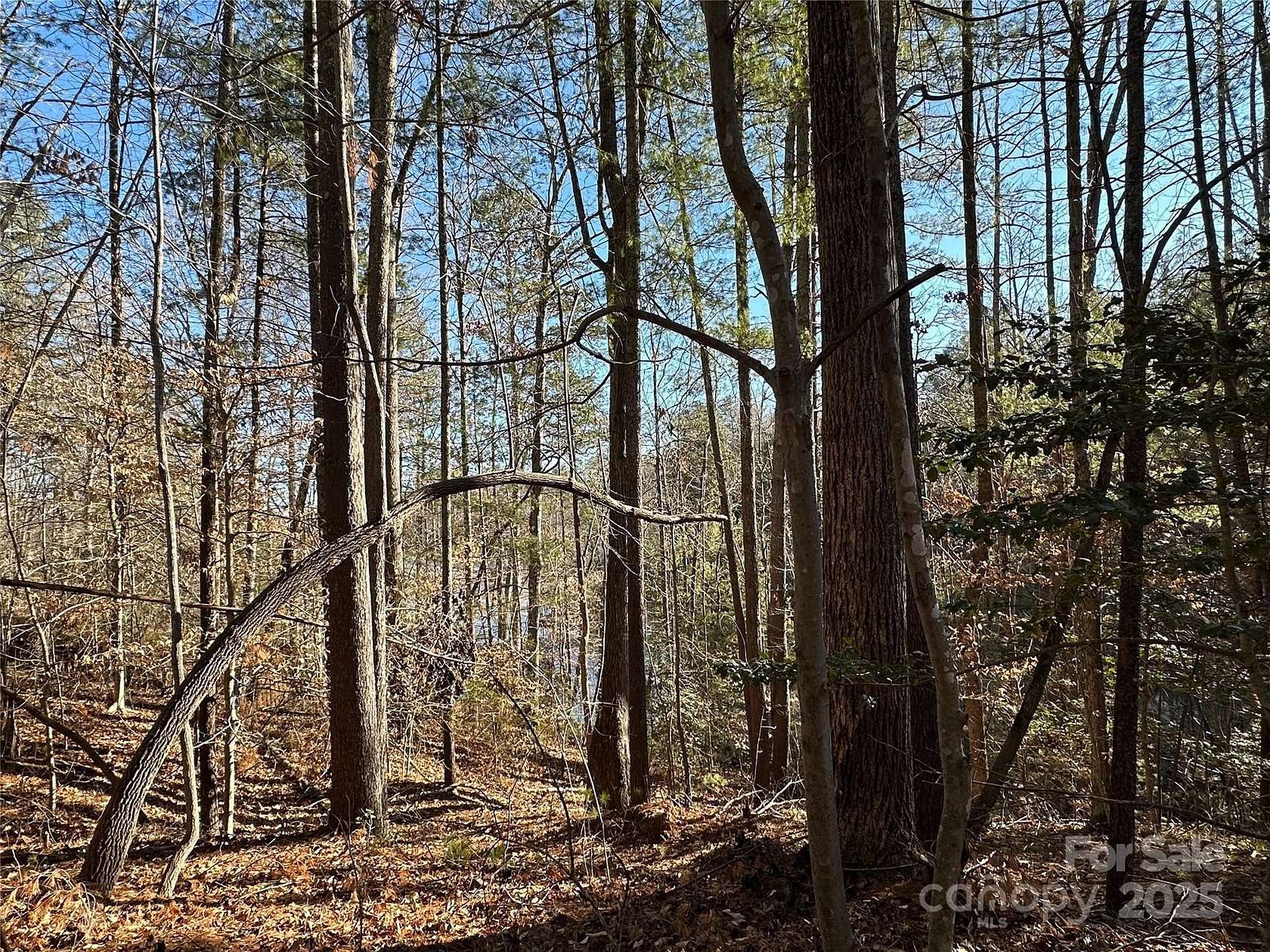 0.52 Acres of Land for Sale in Nebo, North Carolina