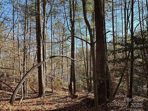 0.52 Acres of Land for Sale in Nebo, North Carolina