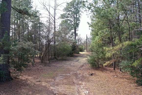 28.4 Acres of Recreational Land for Sale in Palestine, Texas