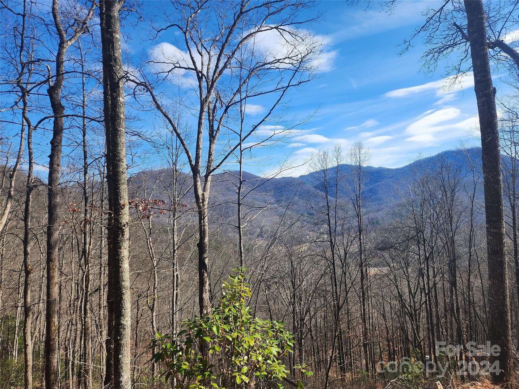 9.96 Acres of Land for Sale in Sylva, North Carolina