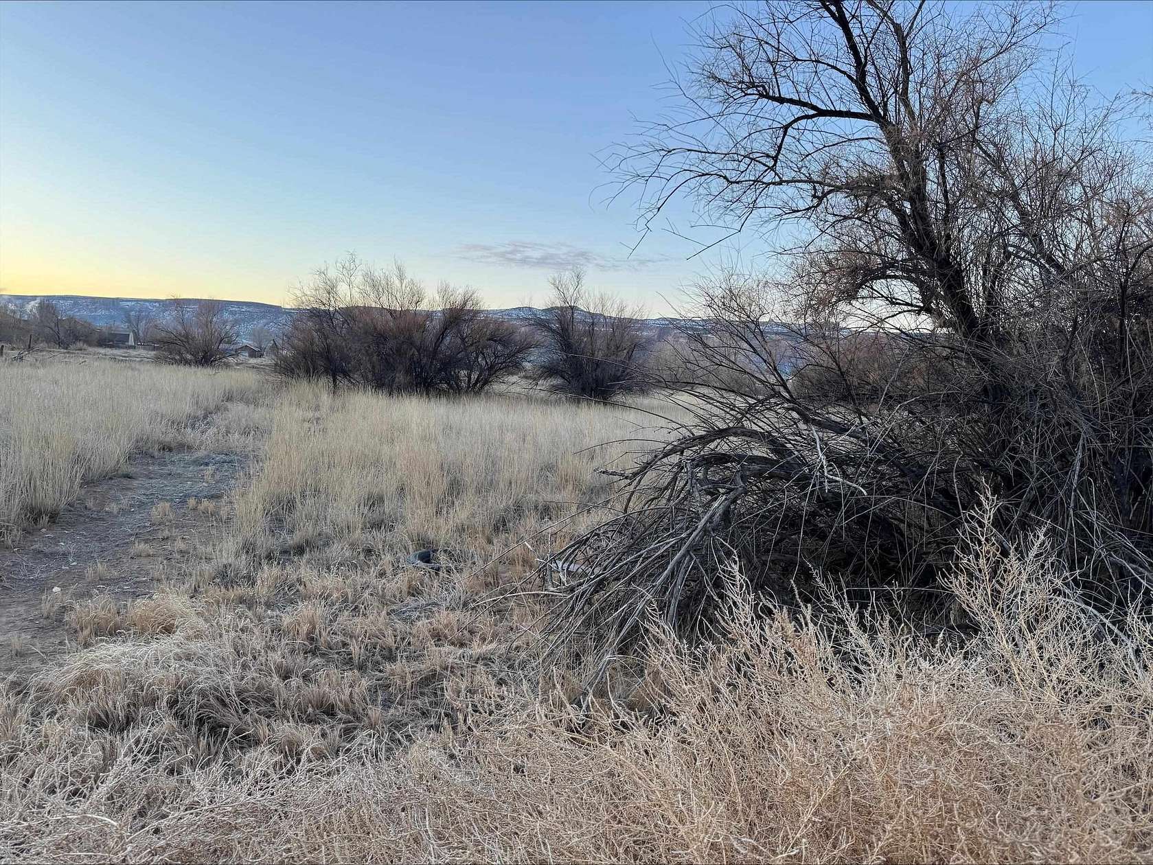 0.18 Acres of Residential Land for Sale in Fruita, Colorado