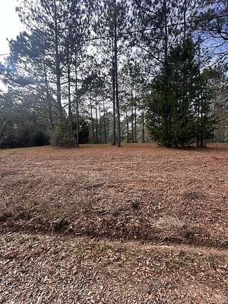 1.5 Acres of Residential Land for Sale in Brundidge, Alabama