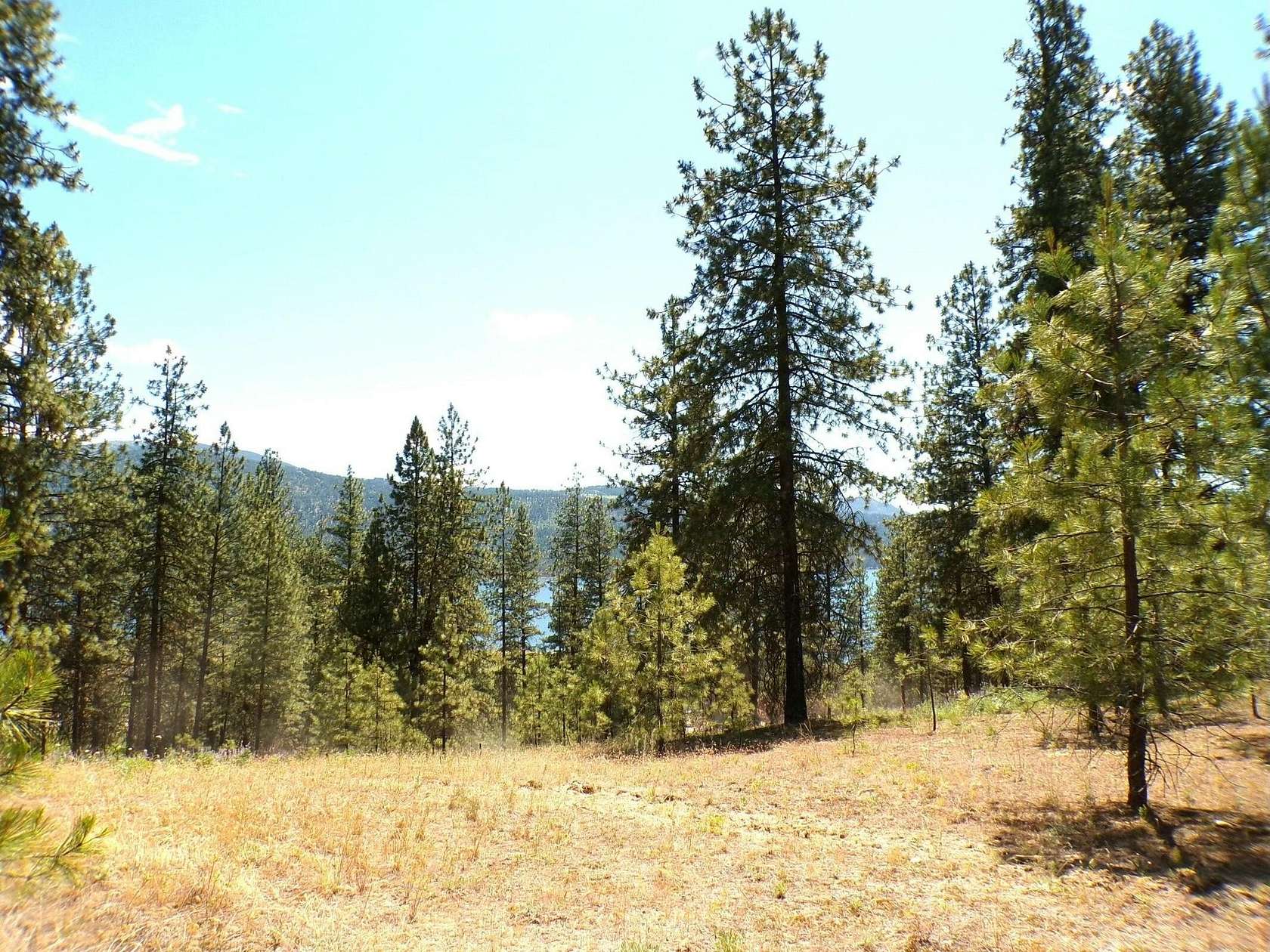 1.81 Acres of Residential Land with Home for Sale in Kettle Falls, Washington