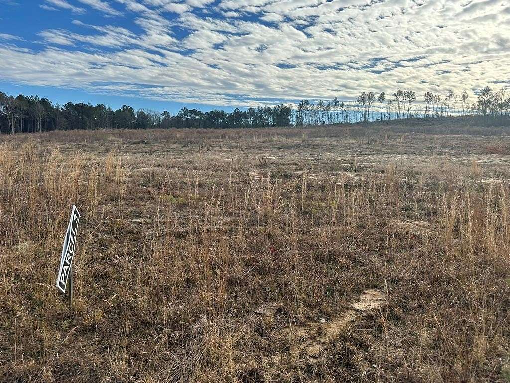 4 Acres of Residential Land for Sale in Jack, Alabama