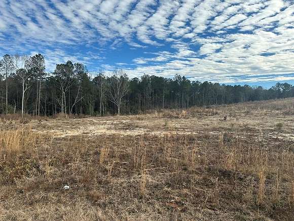 4 Acres of Residential Land for Sale in Jack, Alabama