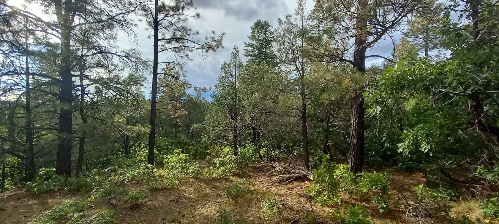 3.18 Acres of Residential Land for Sale in Chama, New Mexico